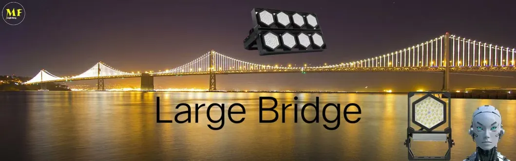 LED Spor Stadyumu Işığı Dış Çevre Landscape Modüler Siyah Renk Korrozyona Karşı Yüksek Sürücü 140lm/W IP67 Ik08 7