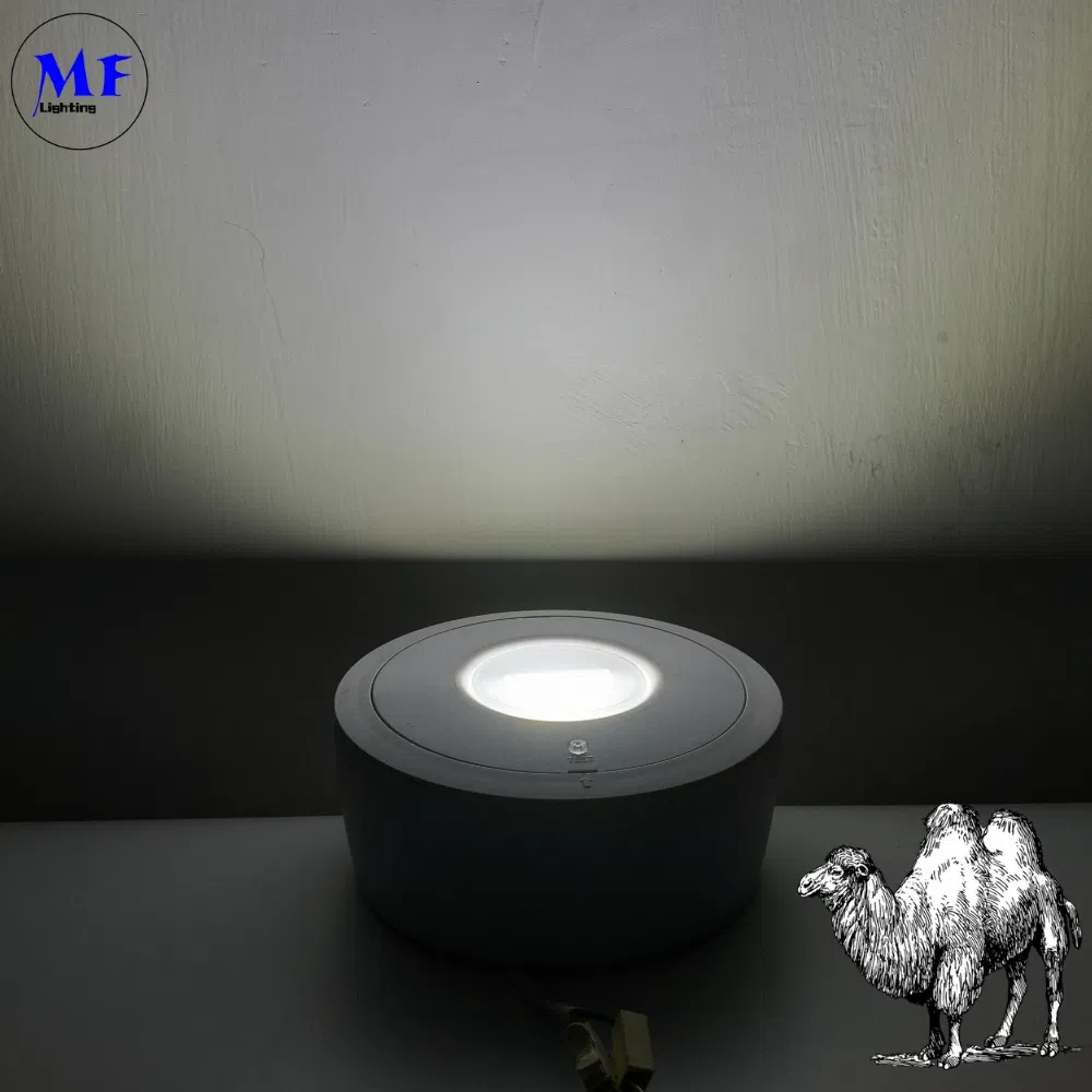 Panel Aşağı Işık LED Panik Acil Durum Çıkış İşareti Işığı IP65 Pil Yedekleme Şarj Edilebilir Kamu Okul Hastane Beyaz 3