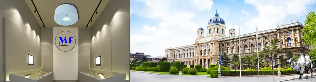 Panel Aşağı Işık LED Panik Acil Durum Çıkış İşareti Işığı IP65 Pil Yedekleme Şarj Edilebilir Kamu Okul Hastane Beyaz 18
