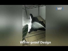 Dış Mekan İçin 75W IP66 Geniş Açılı LED Taşkın Işık 9200LM