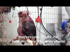 1200mm IP68 Su Geçirmez Tri Proof LED Hafif Zincir Braketi Montajlı