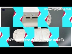 Gıda Fabrikası İçin Kısılabilir IP65 Triproof LED Lineer Işıklar