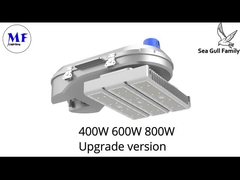 MF Martı Ailesi Yüksek Direk Feneri