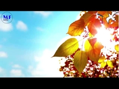 Güvercin 1 Güneş sokak lambası