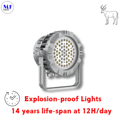 Factory Price 400W ExplosionProof Flood Light IECEx ATEX Die-casting Aluminum IP66 IK08 Beam Angle Optional Oil Gas Chemical Hazard Industry LED Explosion Proof Light