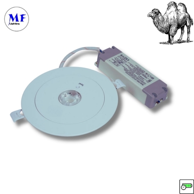 ABS PC IP43 Kapalı 3W LED Şarj edilebilir Acil Durum Yedeklenmiş Aşağı Işık 3 saat Uzun Sürekli 230V LED Acil Durum Işık Ofis Otel Fabrikası
