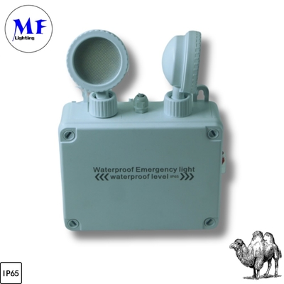 IP65 Su geçirmez İçeride Dışarıdaki Pil 3 saat 24 saat Uzun Sürekli Duvar Tavanı Asılı Dağ Beyaz Yeşil Çıkış İşareti Otel Ofisi için LED Acil Durum Işığı