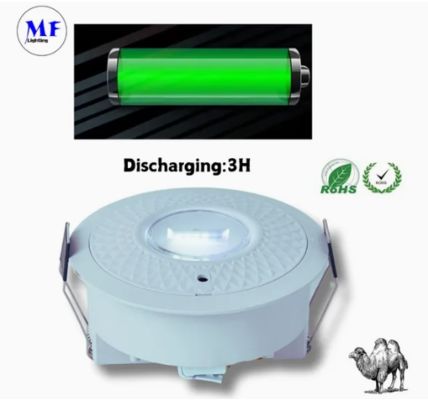 Panel Aşağı Işık LED Panik Acil Durum Çıkış İşareti Işığı IP65 Pil Yedekleme Şarj Edilebilir Kamu Okul Hastane Beyaz
