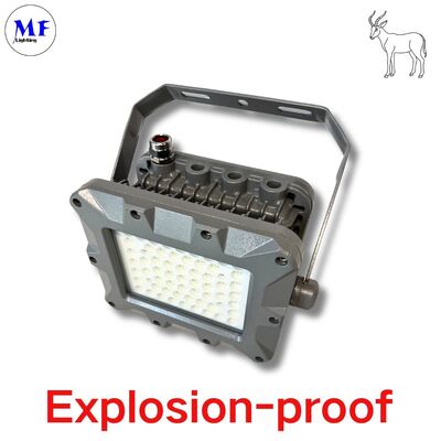 IP66 50W 75W 100W 150W 200W 240W 300W 350W 400W EATON Petrol Madenciliği Offshore Bölge Patlamaya Dayanıklı Aydınlatma LED Patlamaya Dayanıklı Atex Projektör