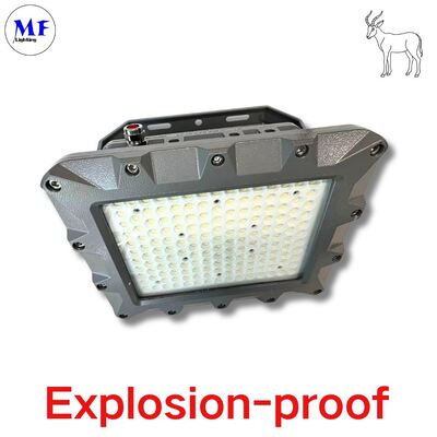 Fabrika Fiyatı Petrol Gaz Kimya Deniz Madencilik Endüstrisi Iecex ATEX Döküm Alüminyum IP66 Ik08 5 Yıl Garanti LED Patlamaya Dayanıklı Projektör ATEX Sertifikalı Işık