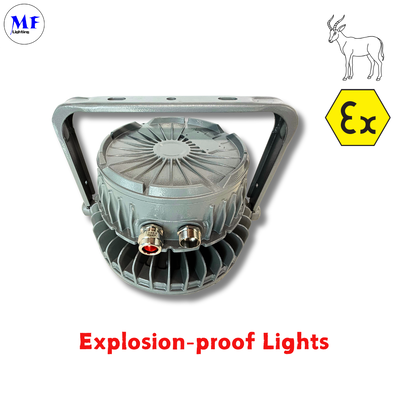 OEM ODM IP66 IK08 Atex Lamp Patlama Kanıtlı LED Highbay Light 140LM/W IP66 IK08 50W 100W 150W 200W 300W 400W Tempered Glass Lens For Oil Gas Chemical Mining Hazardous Zone