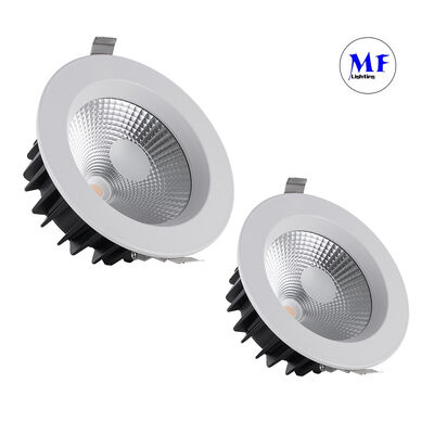 Fabrika Fiyatı Yaylı Klips Montajlı 40W COB Spot Işık 2700-6000K Ayarlanabilir CCT Yüksek CRI Ra90 Triyak 0-10V Dali-2 Dali Dt8 Tuya Zigbee Dim Edilebilir Spot Işık